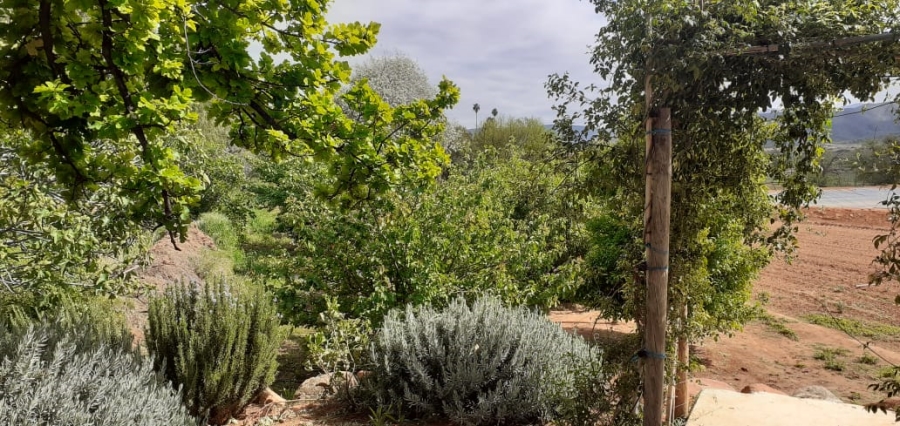 0 Bedroom Property for Sale in Oudtshoorn Rural Western Cape